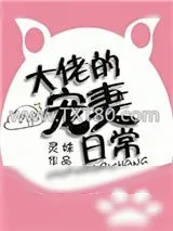 《大佬的宠妻日常》小说封面
