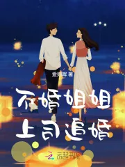 《不婚姐姐,上司追婚》小说封面