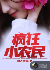 《疯狂小农民》小说封面
