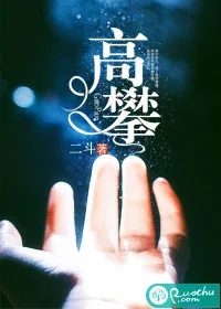 《高攀》小说封面