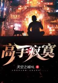 《高手寂寞》小说封面