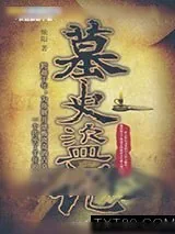 《墓史盗记》小说封面