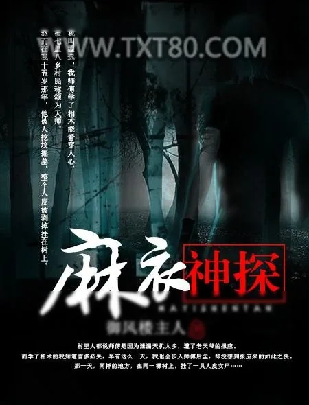 《麻衣神探》小说封面
