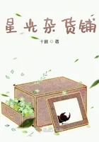 《星光杂货铺》小说封面