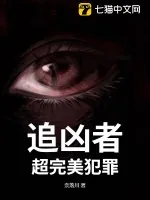 《追凶者：超完美犯罪》小说封面