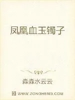 《凤凰血玉镯子》小说封面