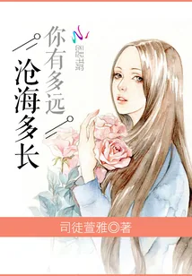 《你有多远，沧海多长》小说封面