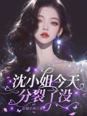 《沈小姐,今天分裂了没?》小说封面