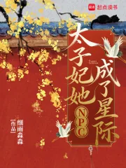 《太子妃她成了星际NPC》小说封面