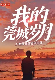 《我的莞城岁月》小说封面