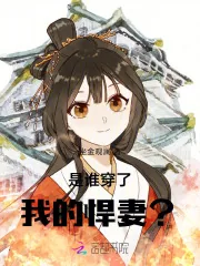 《是谁穿了我的悍妻？！》小说封面