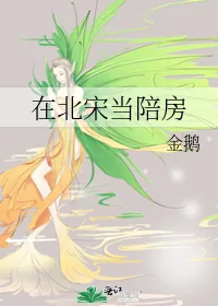 《在北宋当陪房》小说封面