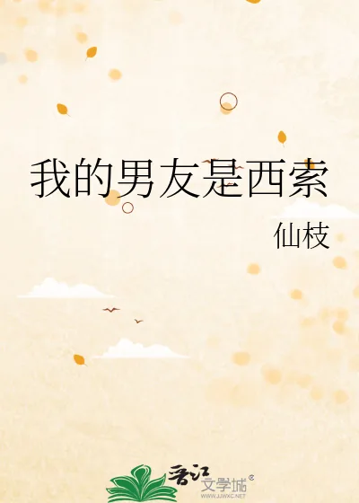 《我的男友是西索》小说封面