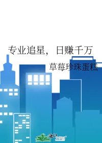 《专业追星，日赚千万》小说封面