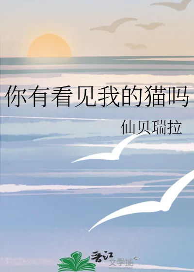 《你有看见我的猫吗》小说封面