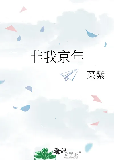 《非我京年》小说封面