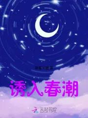 《诱入春潮》小说封面