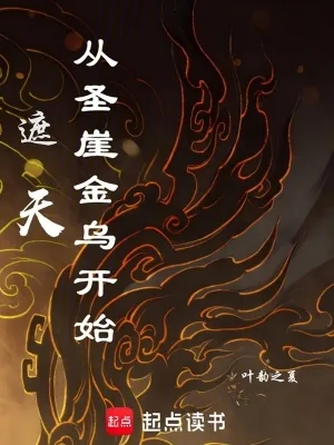 《遮天：从圣崖金乌开始》小说封面