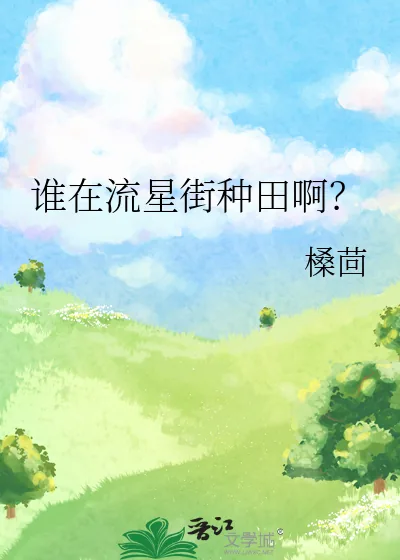 《谁在流星街种田啊？》小说封面