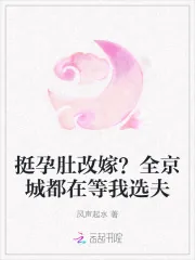 《挺孕肚改嫁？全京城都在等我选夫》小说封面