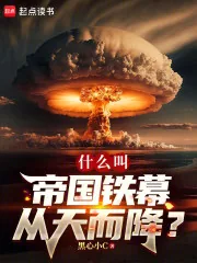 《什么叫帝国铁幕从天而降？》小说封面