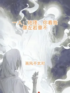 《一人：陆瑾你看我像你师父不？》小说封面