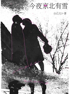 《今夜京北有雪》小说封面