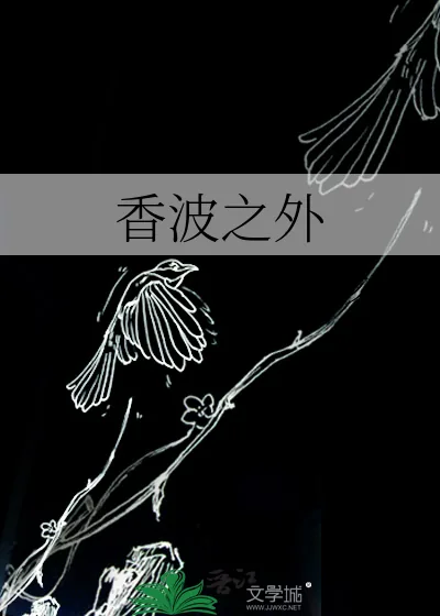 《香波之外》小说封面
