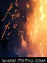 《焰炽》小说封面