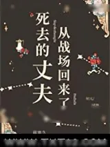 《死去的丈夫从战场回来了》小说封面