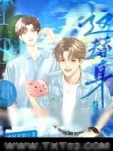 《这替身老子不当了》小说封面