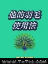 《他的羽毛使用法》小说封面