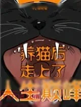《养猫后走上了人生巅峰》小说封面