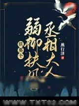 《朕那个弱柳扶风的丞相大人》小说封面