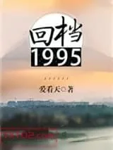 《回档1995》小说封面