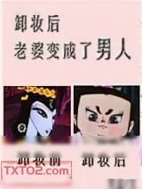 《卸妆后，老婆变成了男人》小说封面