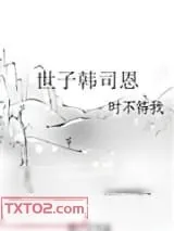 《世子韩司恩》小说封面