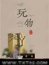《玩物》小说封面