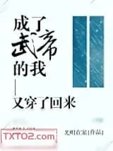 《成了武帝的我又穿了回来》小说封面