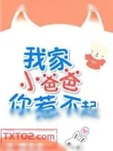 《我家小爸爸你惹不起》小说封面