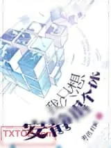 《我只想安静退个休》小说封面