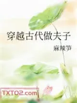 《穿越古代做夫子》小说封面