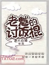 《老魃的讨饭棍》小说封面