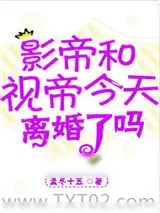 《影帝视帝今天离婚了吗》小说封面