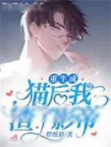 《重生成猫后我踹了影帝》小说封面