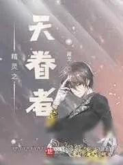 《精灵之天眷者》小说封面