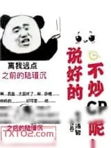 《说好的不炒CP呢！[娱乐圈]》小说封面