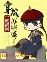 《穿成苏培盛了》小说封面