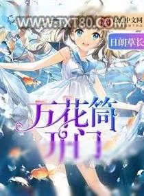 《万花筒开门》小说封面