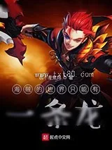 《海贼的世界只能有一条龙！》小说封面